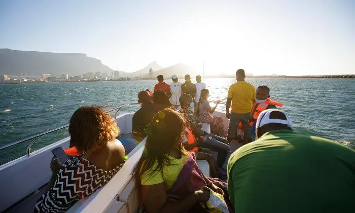 30-Minute Cape Town Harbour Cruise with Waterfront Boat Tours