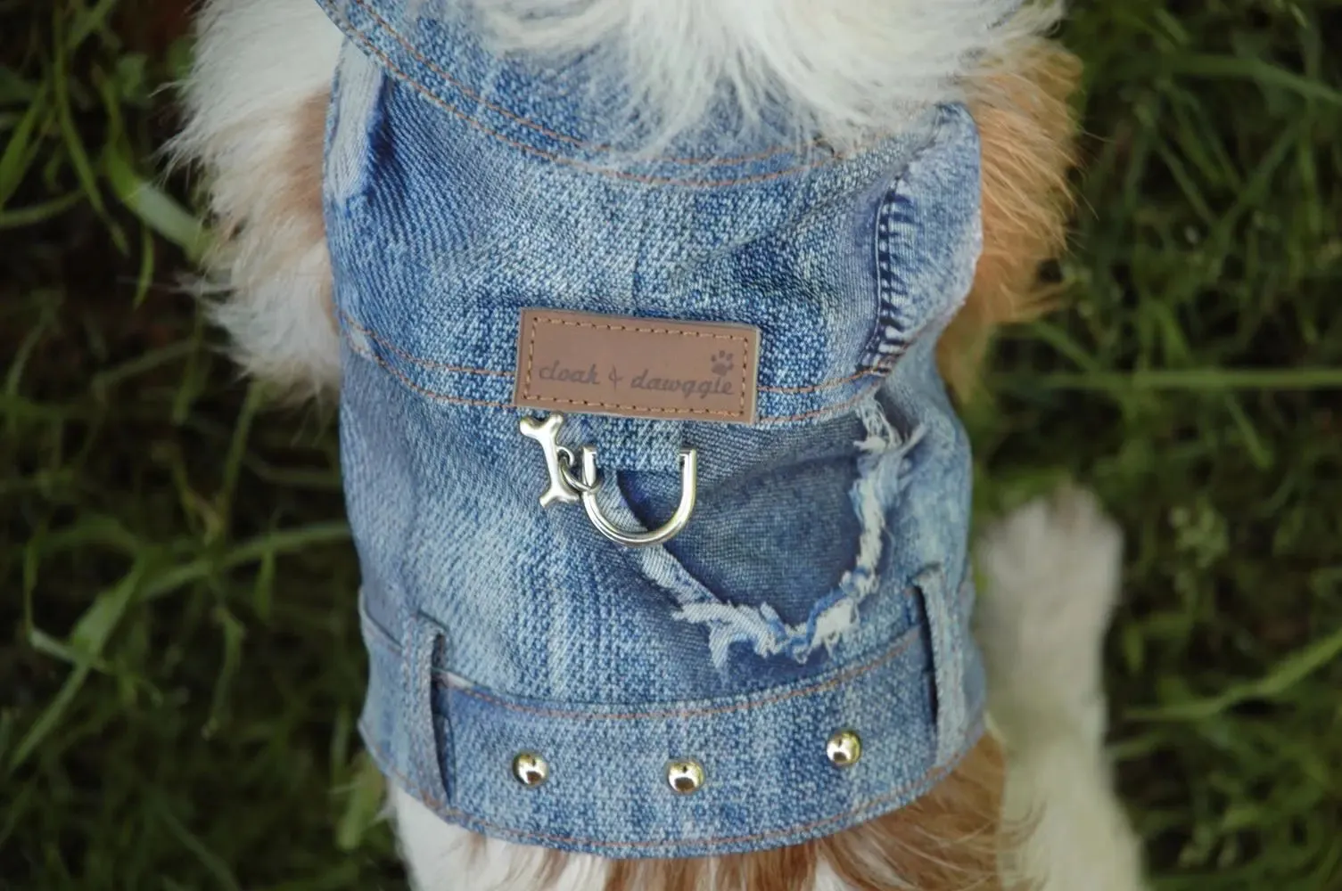 Authentic Patch Denim Jackets for Small Dogs 4-30 LBS