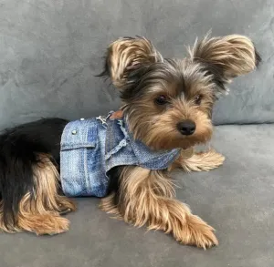 Authentic Patch Denim Jackets for Small Dogs 4-30 LBS