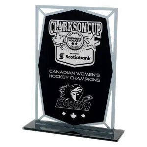 Cape Spear Black & Mirror Glass Award