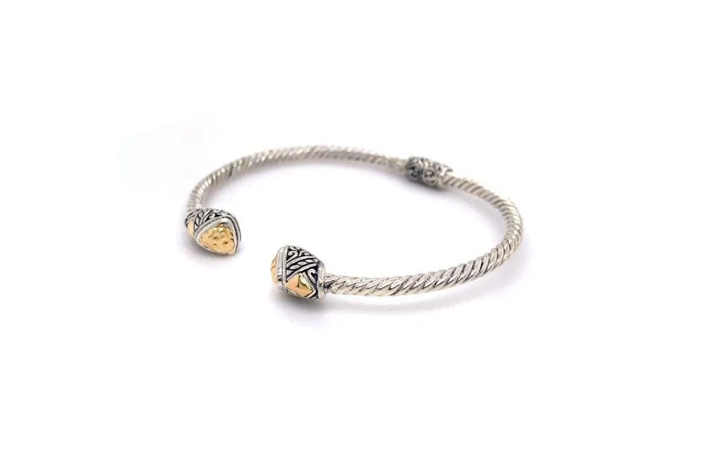 Gemma Bangle- Silver And Gold